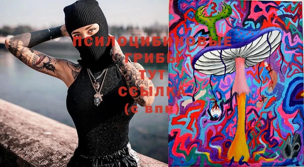 крисы Верея
