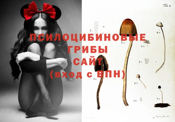 крисы Верея
