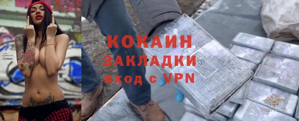тгк Бородино