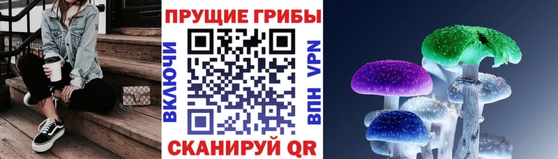 Галлюциногенные грибы Psilocybe  Жигулёвск 